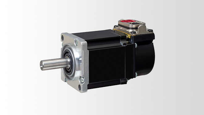 Rotary Servo Motor